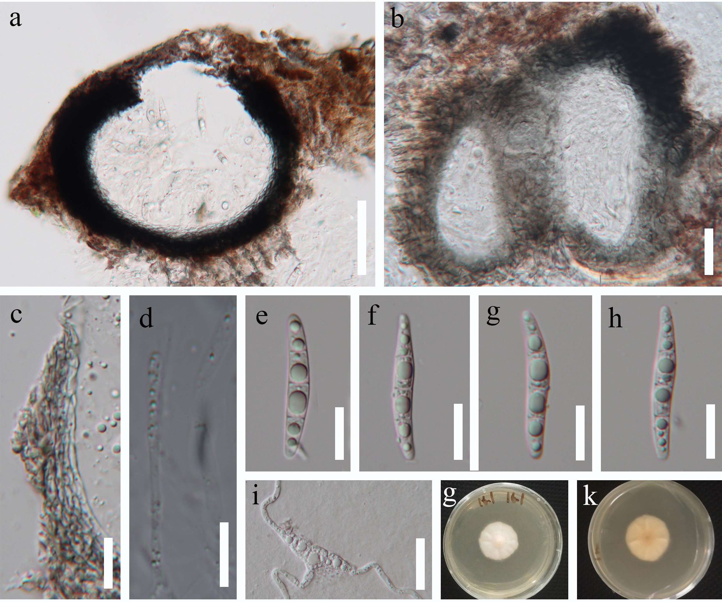 Figure 108